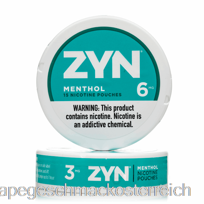 Zyn Nikotinbeutel – Menthol 3 Mg (5er-Pack) Vape-Geschmack